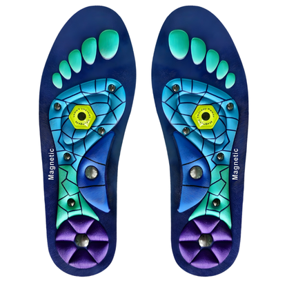 Plantillas Magneticas