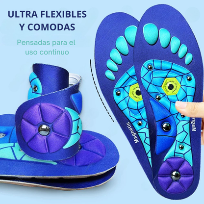 Plantillas Magneticas